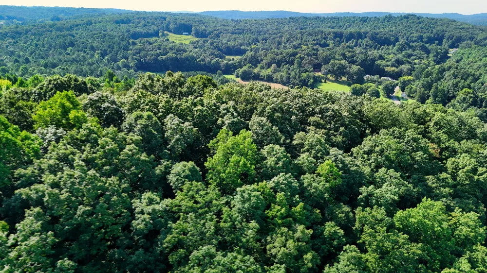 0 Moss Rd Philadelphia, TN 37846