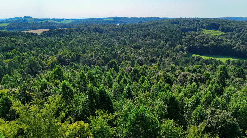 0 Moss Rd Philadelphia, TN 37846