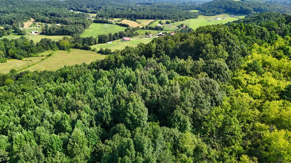 0 Moss Rd Philadelphia, TN 37846
