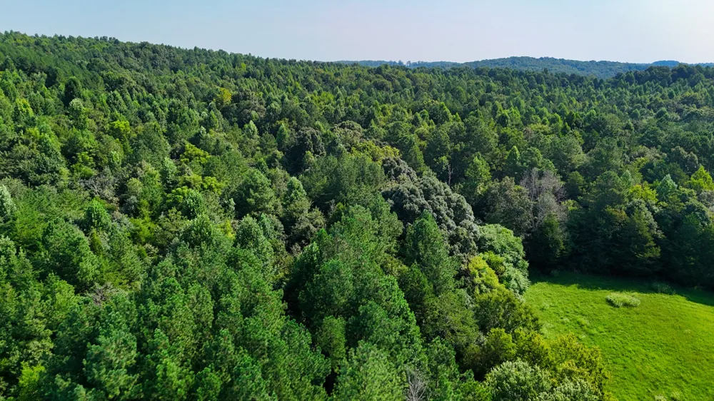 0 Moss Rd Philadelphia, TN 37846