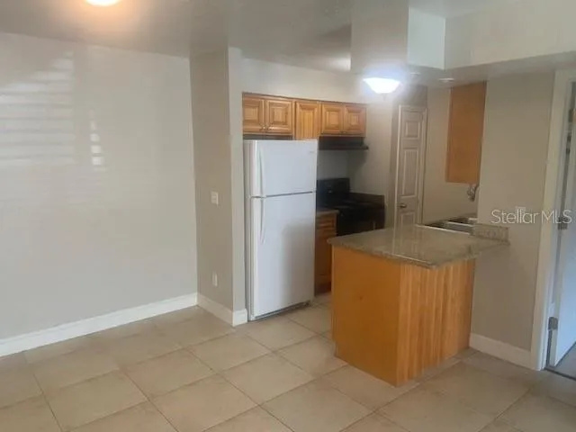 620 GOLDEN RAINTREE PLACE #620 Brandon, FL 33510