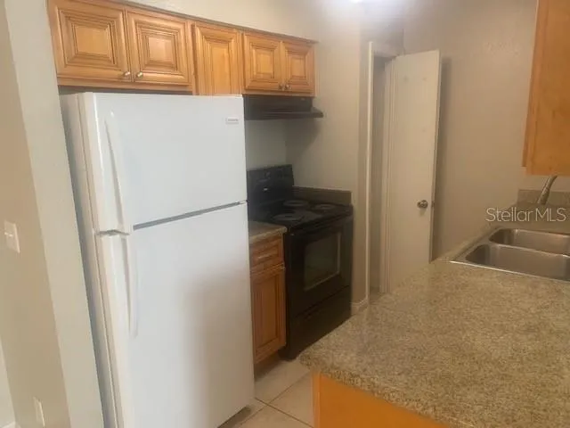 620 GOLDEN RAINTREE PLACE #620 Brandon, FL 33510