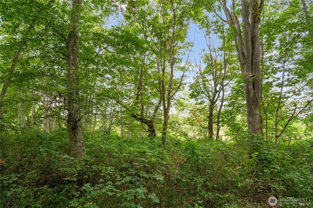 3327 Burley Road Clinton, WA 98236