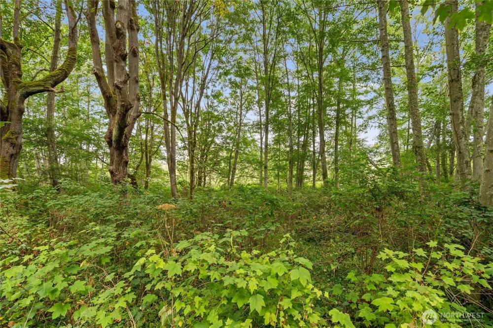 3327 Burley Road Clinton, WA 98236