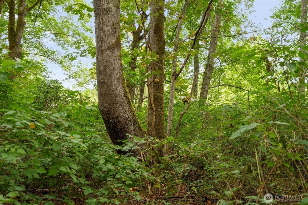 3327 Burley Road Clinton, WA 98236