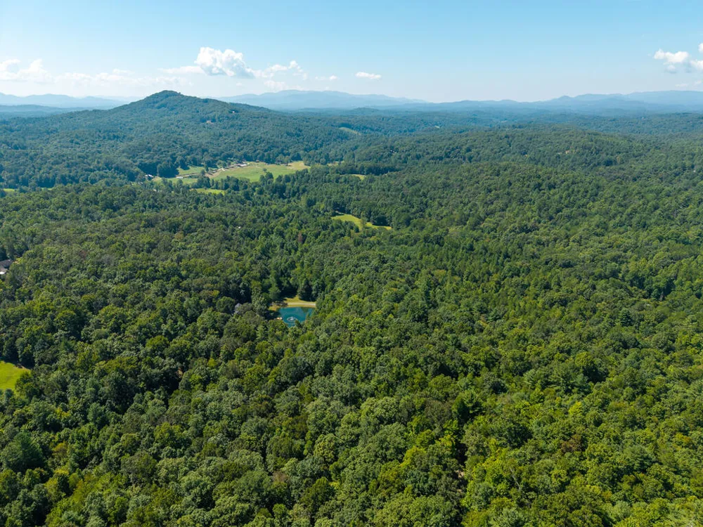 505 Old Salem Road Mineral Bluff, GA 30559