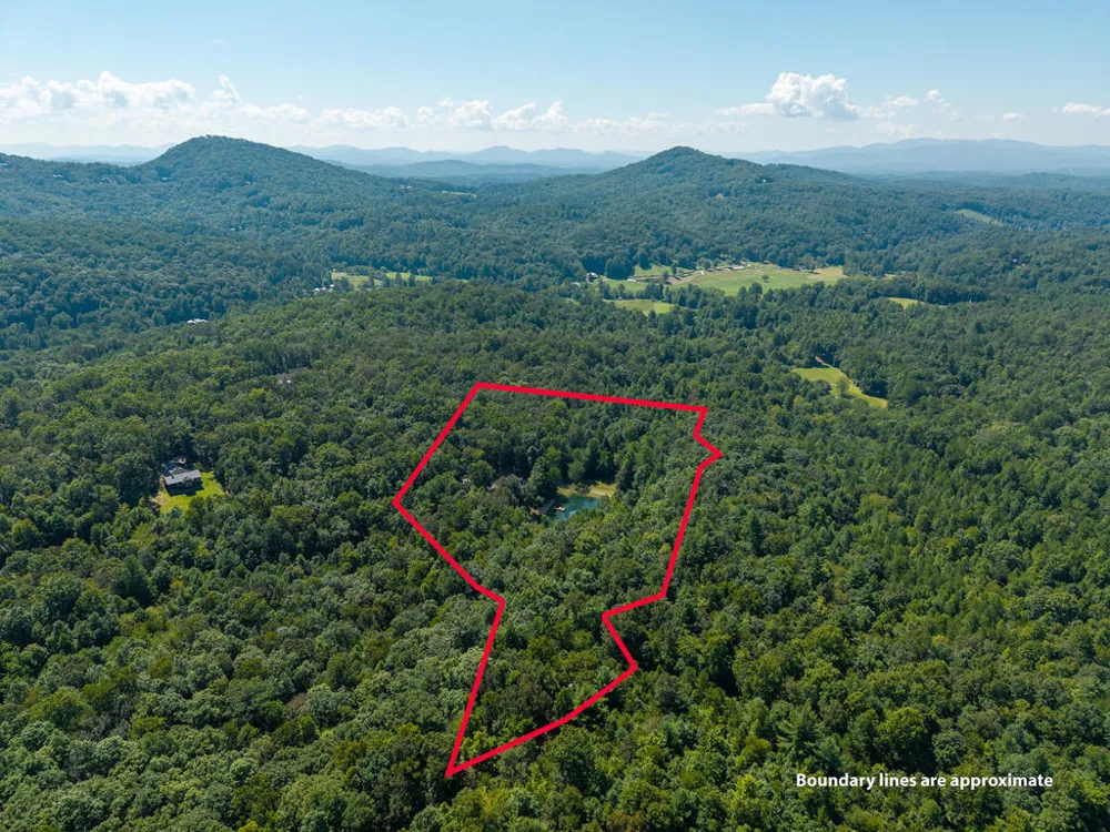 505 Old Salem Road Mineral Bluff, GA 30559