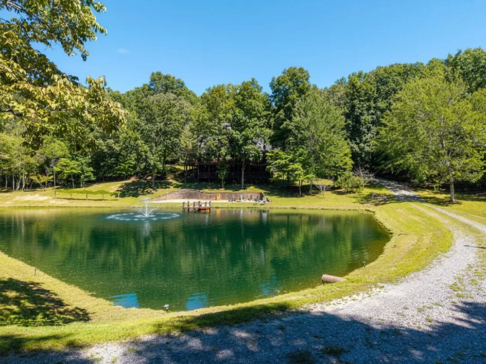 505 Old Salem Road Mineral Bluff, GA 30559