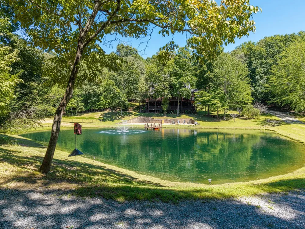 505 Old Salem Road Mineral Bluff, GA 30559