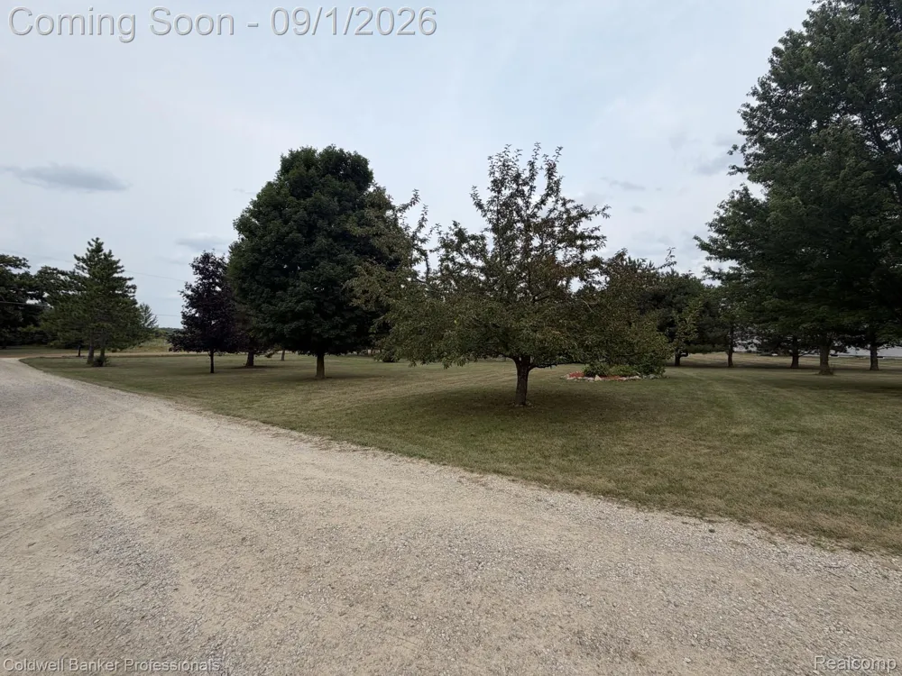 3775 Reamer Road Oregon Township, MI 48446