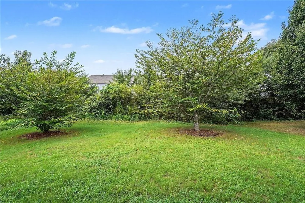 969 Parkside Place Avenue McDonough, GA 30253