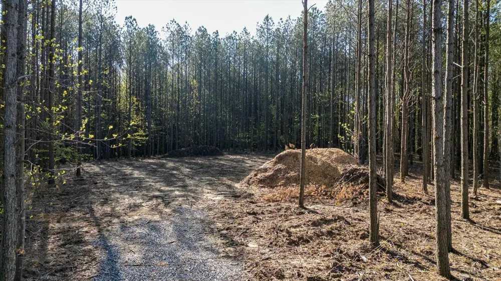 4670 Raulston Falls Road Jasper, TN 37347