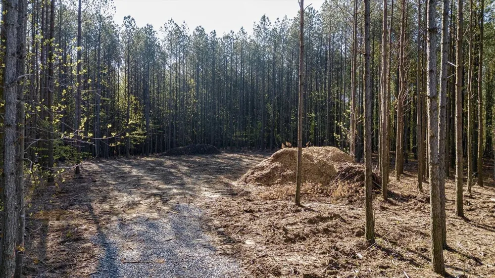 4670 Raulston Falls Road Jasper, TN 37347