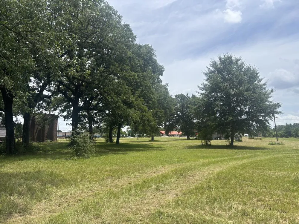 32 W Ga Highway 0137 Buena Vista, GA 31803