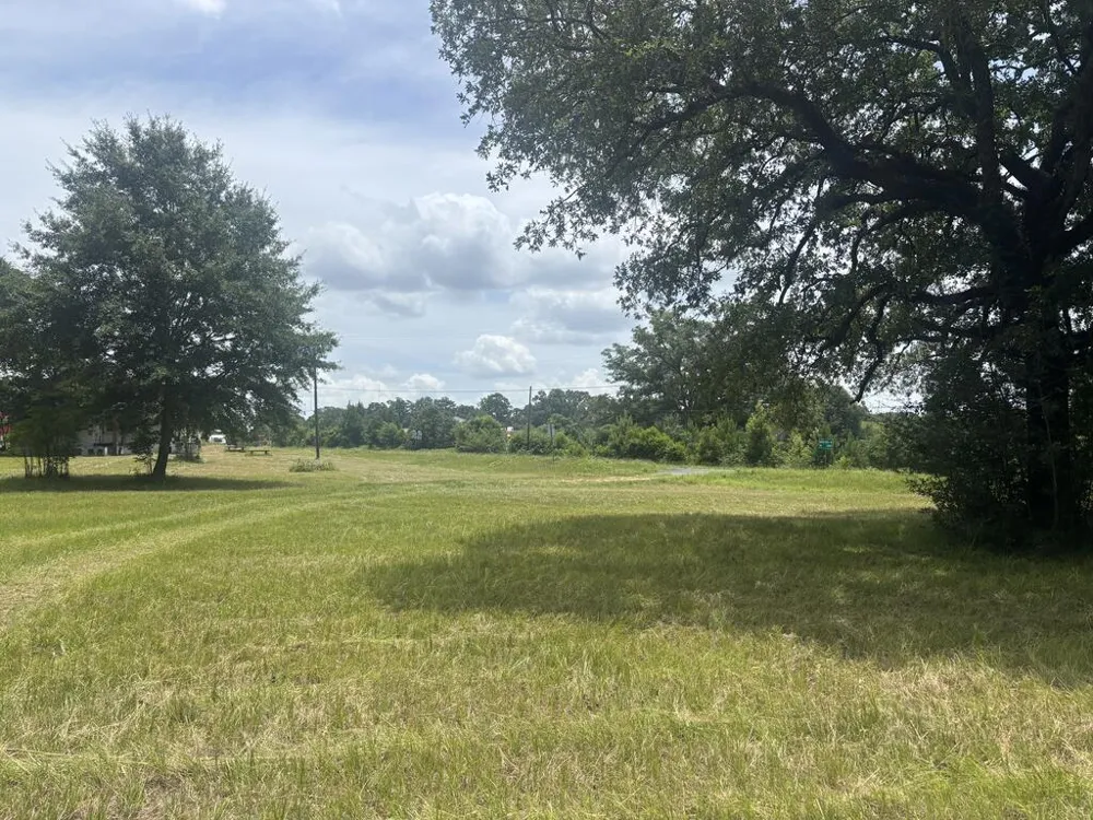 32 W Ga Highway 0137 Buena Vista, GA 31803