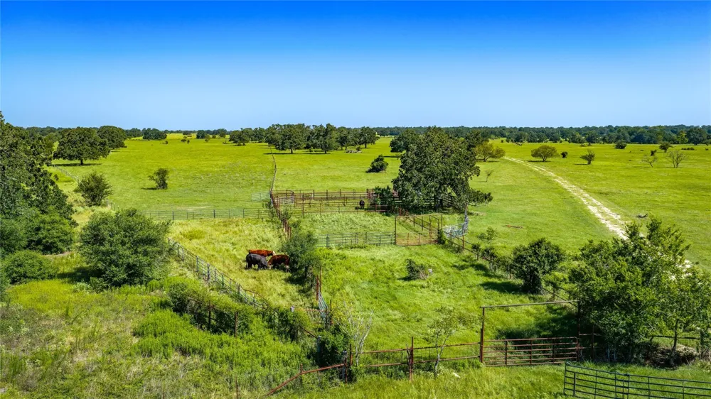 1777 Fm-1361 Somerville, TX 77879
