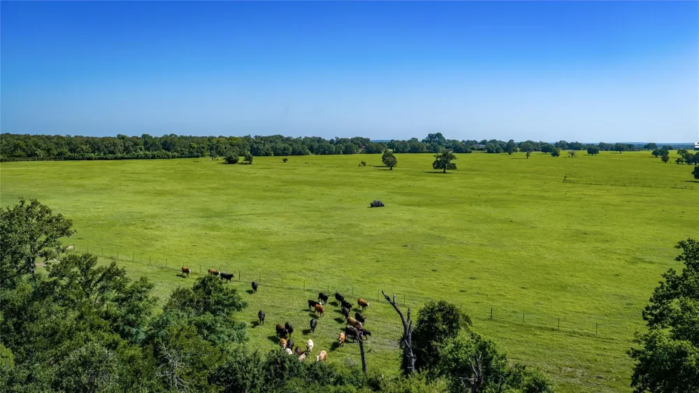 1777 Fm-1361 Somerville, TX 77879