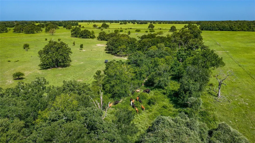 1777 Fm-1361 Somerville, TX 77879