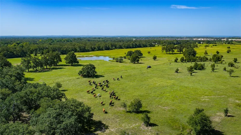 1777 Fm-1361 Somerville, TX 77879
