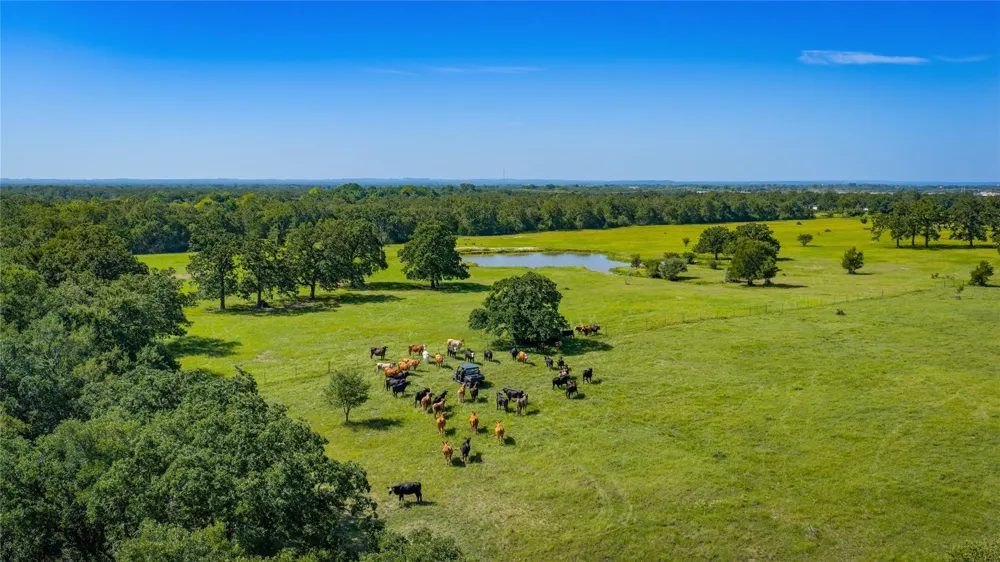 1777 Fm-1361 Somerville, TX 77879