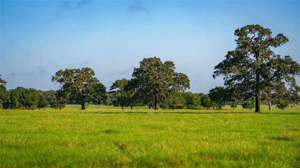 1777 Fm-1361 Somerville, TX 77879