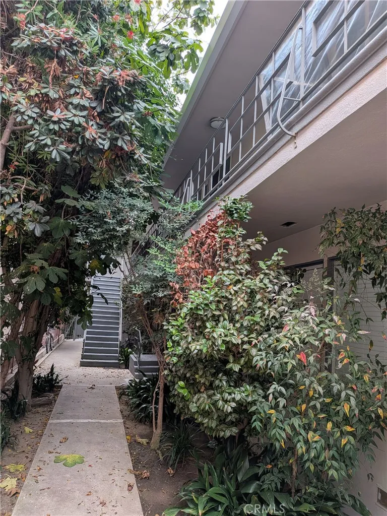 1019 6th Street #8 Santa Monica, CA 90403