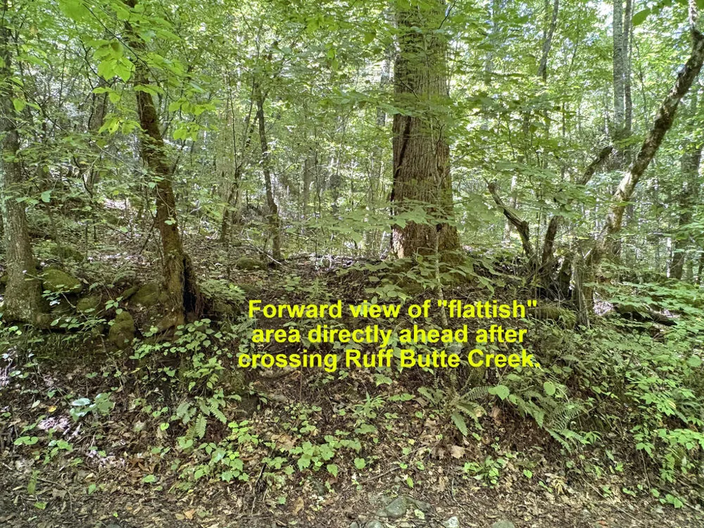 Ruff Butte Rd. Cullowhee, NC 28723