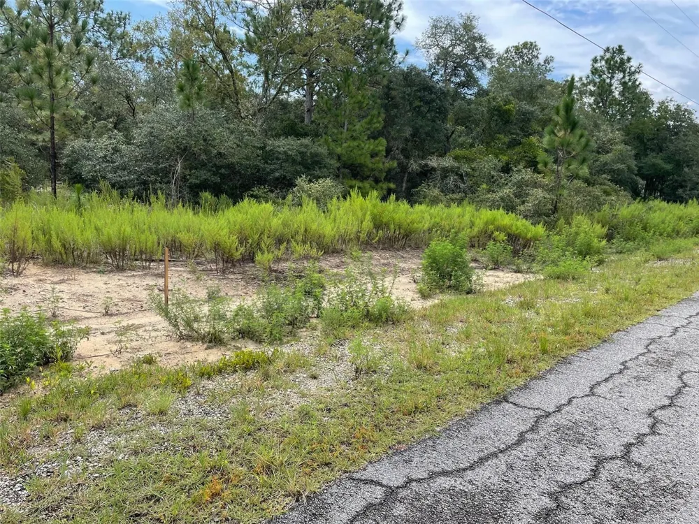 LOT 27 SW GARDENIA COURT Dunnellon, FL 34431