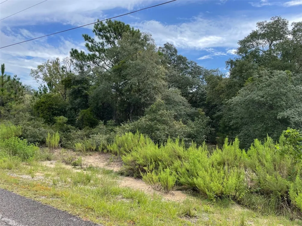 LOT 27 SW GARDENIA COURT Dunnellon, FL 34431
