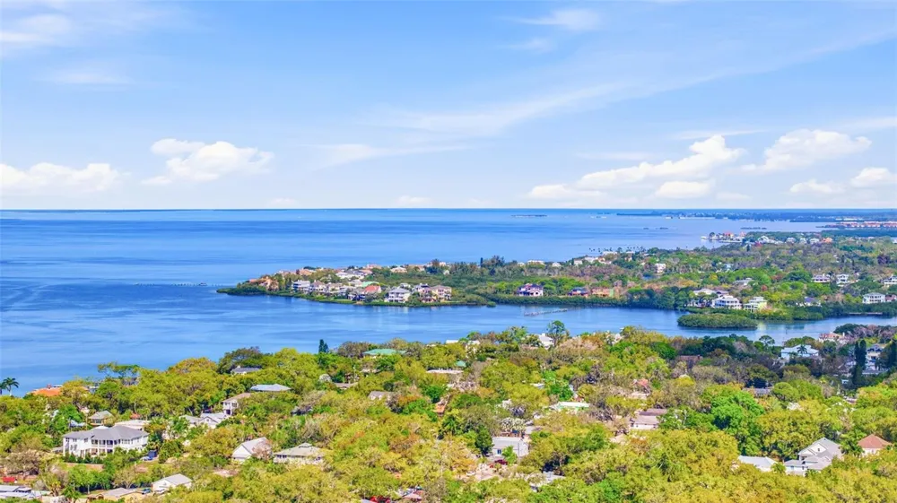 455 ALT 19 S #218 Palm Harbor, FL 34683