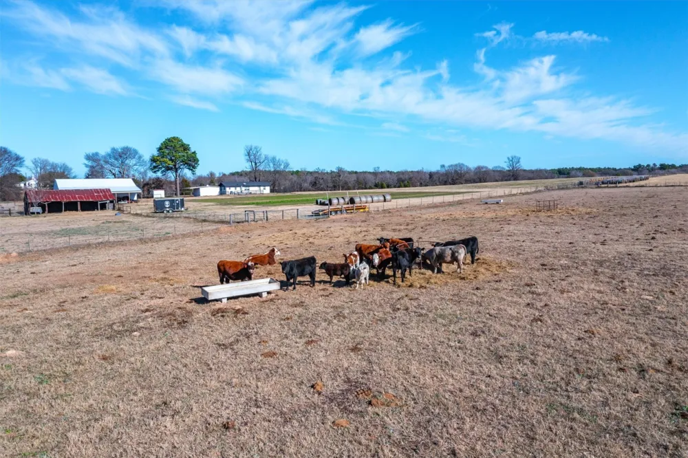 8612 Fm 1616 Athens, TX 75752