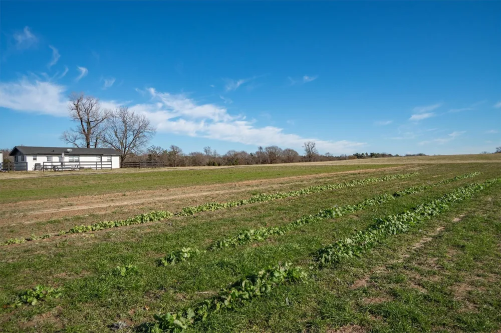 8612 Fm 1616 Athens, TX 75752