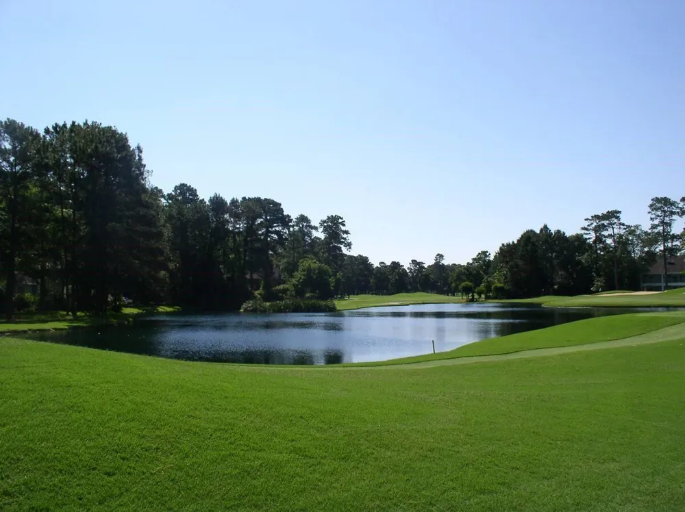 6 W Prairie Dawn Circle The Woodlands, TX 77385