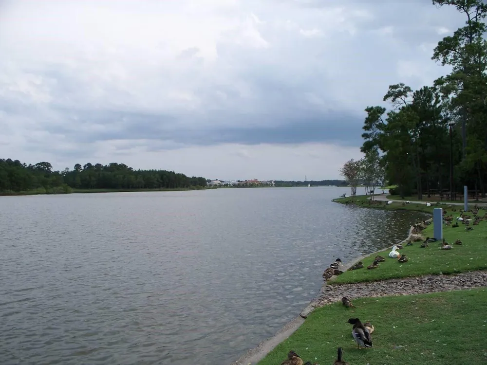 6 W Prairie Dawn Circle The Woodlands, TX 77385