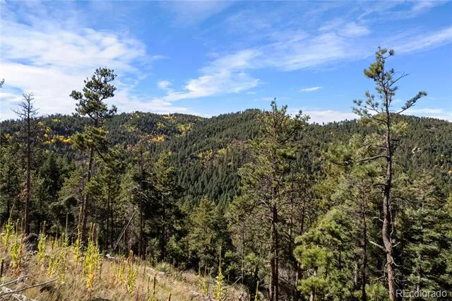 13126 Andiron Way Larkspur, CO 80118