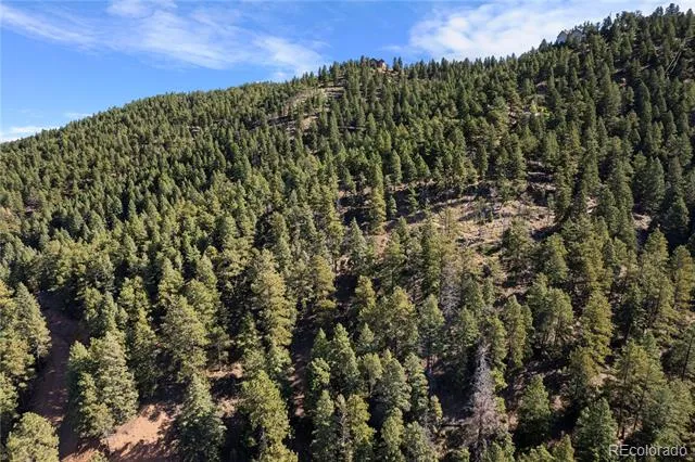 13126 Andiron Way Larkspur, CO 80118
