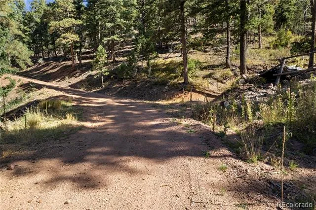 13126 Andiron Way Larkspur, CO 80118