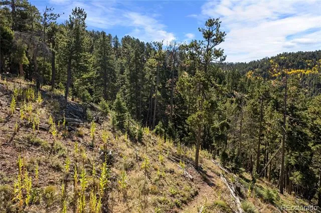 13126 Andiron Way Larkspur, CO 80118