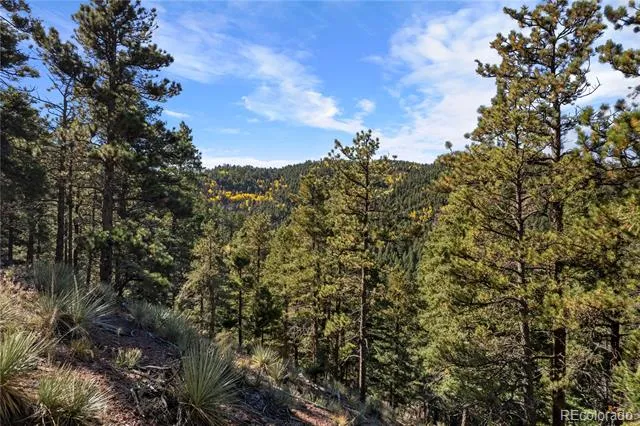 13126 Andiron Way Larkspur, CO 80118
