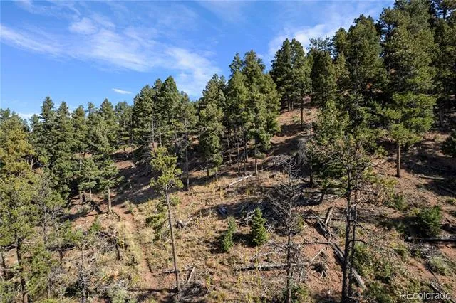 13126 Andiron Way Larkspur, CO 80118