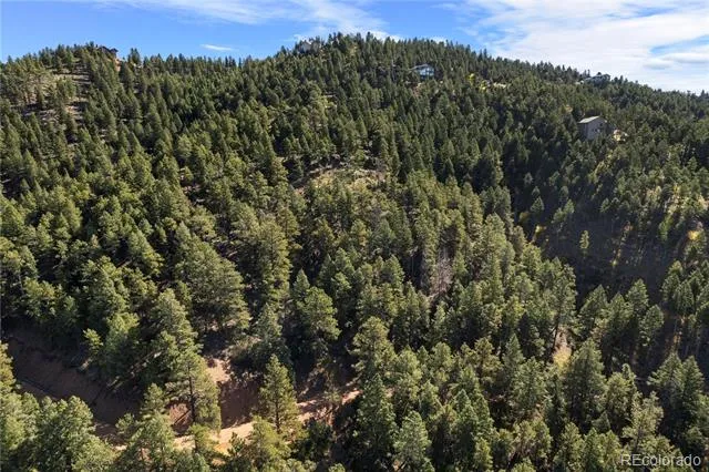 13126 Andiron Way Larkspur, CO 80118