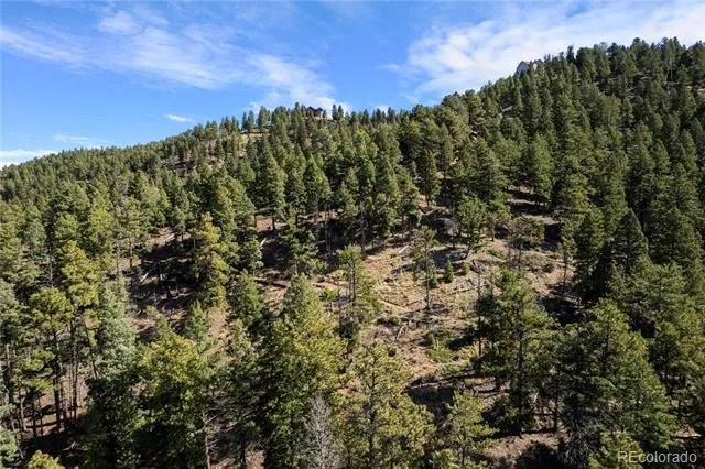 13126 Andiron Way Larkspur, CO 80118