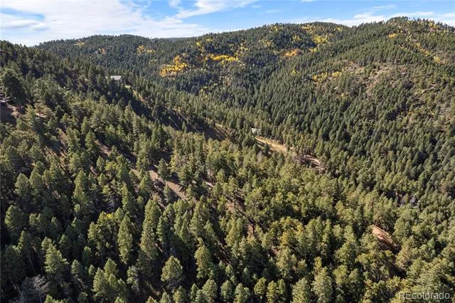 13126 Andiron Way Larkspur, CO 80118