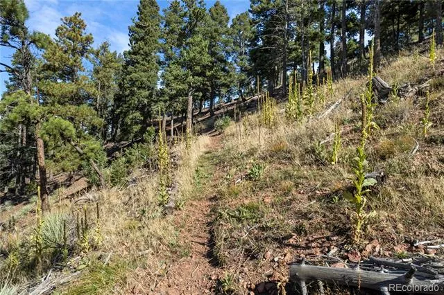 13126 Andiron Way Larkspur, CO 80118