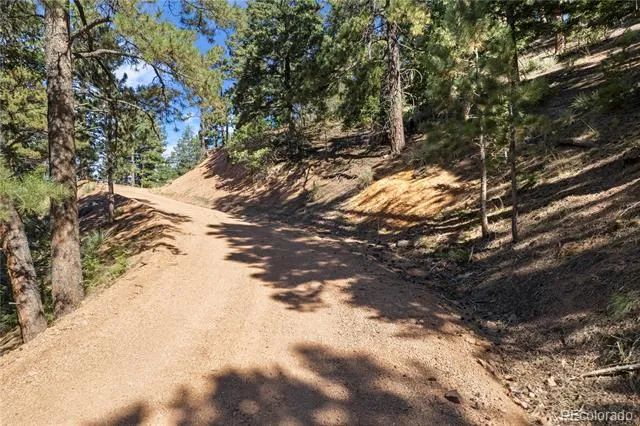 13126 Andiron Way Larkspur, CO 80118