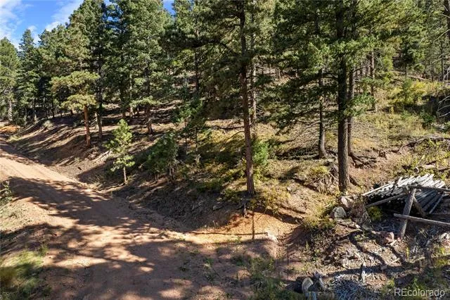 13126 Andiron Way Larkspur, CO 80118