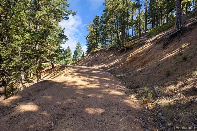 13126 Andiron Way Larkspur, CO 80118