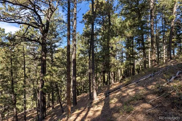 13126 Andiron Way Larkspur, CO 80118
