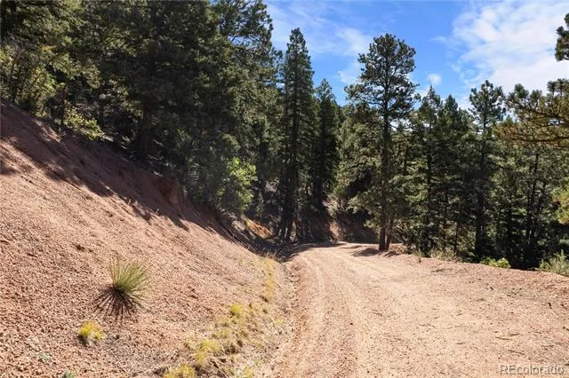 13126 Andiron Way Larkspur, CO 80118