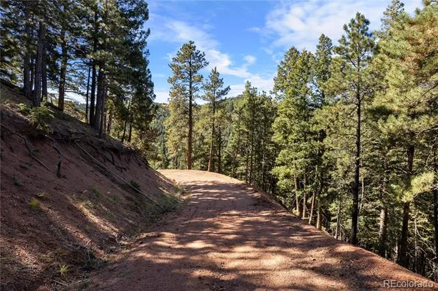 13126 Andiron Way Larkspur, CO 80118